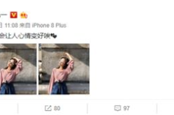 网红陈某伊,从网络红人到社会影响力者的蜕变之路